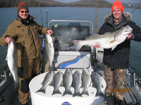 Nice Striped Bass